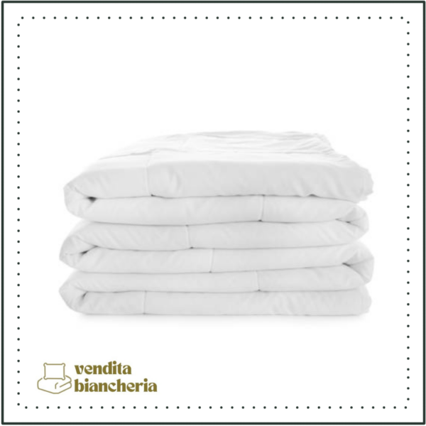 Piumino Letto Matrimoniale 250g